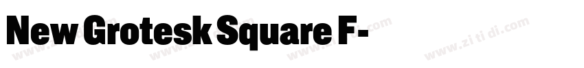 New Grotesk Square F字体转换 New Grotesk Square F字体转换